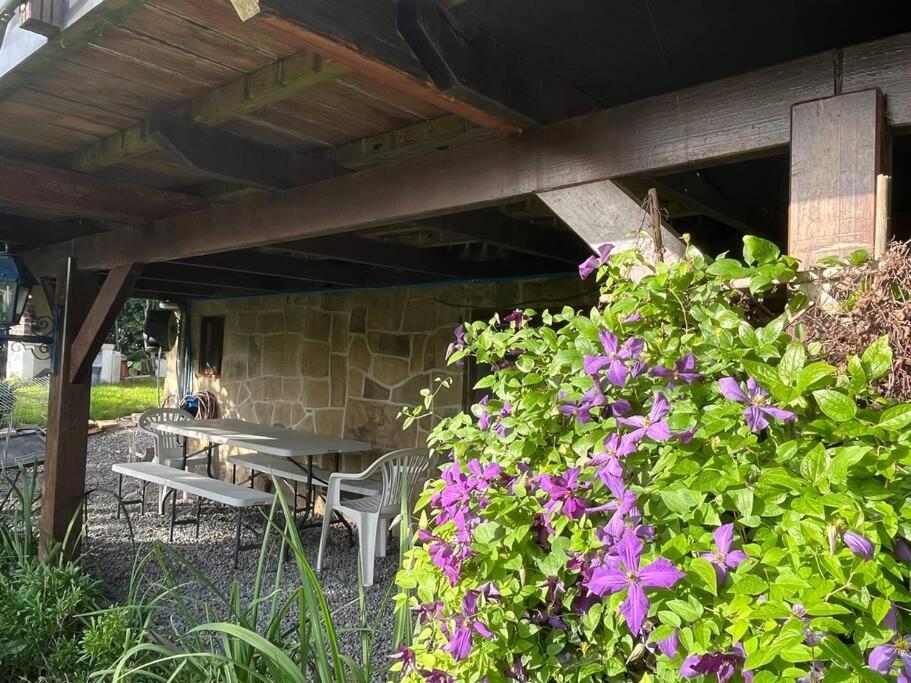 Studio Renove Rdc Terrasse Wepion Namur Exterior foto